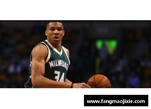 彩神vll官网NBA球星传记之“字母哥”扬尼斯-阿德托昆博