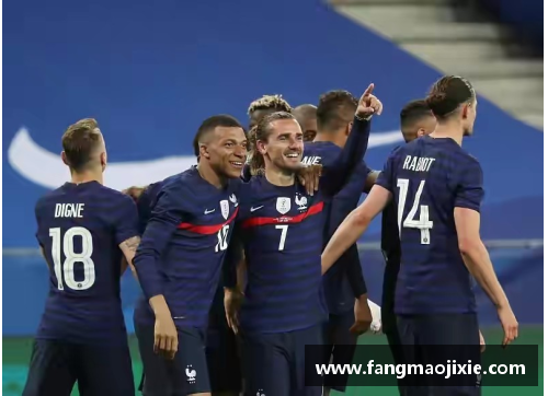 彩神vll官网篮球世界杯_法国队获季军的精彩之路