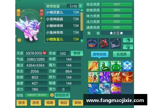 彩神vll官网探寻勇土队新阵容：球员名单大揭秘！
